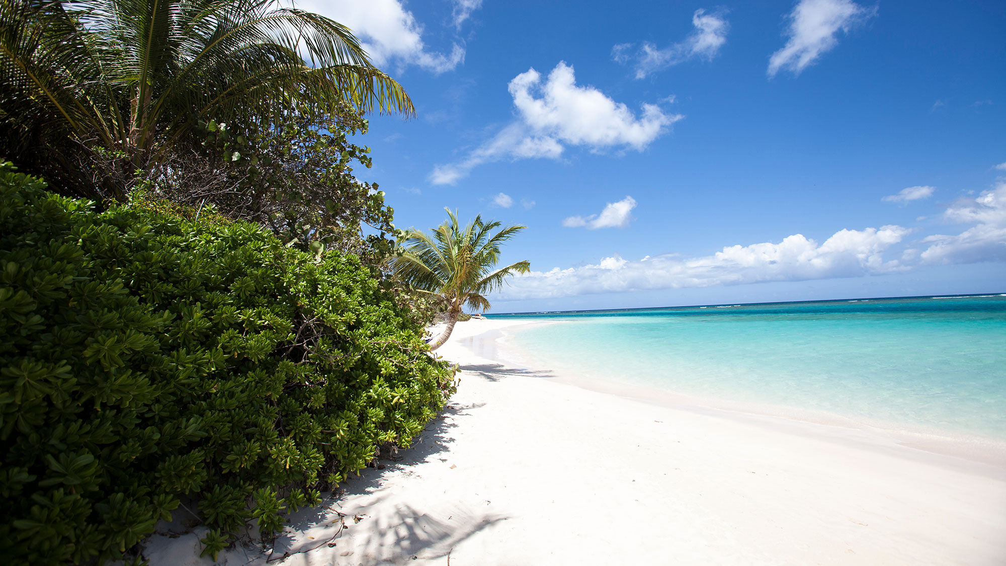 Flamenco Beach on Culebra, Puerto Rico.