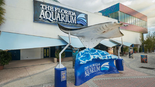 As of May 15, the Florida Aquarium in Tampa will reopen, but crowd sizes will be limited and visits will be by appointment only. As of May 15, the Florida Aquarium in Tampa will reopen, but crowd sizes will be limited and visits will be by appointment only.