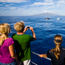 Amid shutdown, respite for Hawaii's ecosystem
