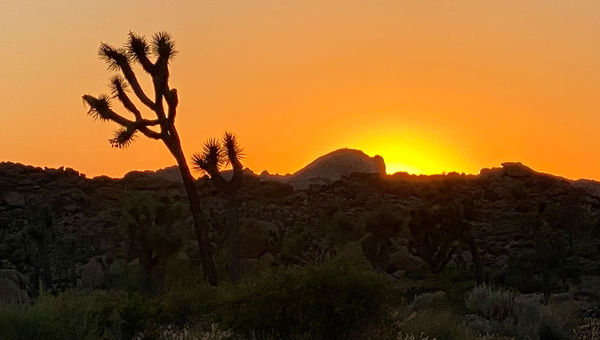 A brilliant sunset is reward for the author after 14 hours and 27 minutes in the June 21 Mojave Desert sun. A brilliant sunset is reward for the author after 14 hours and 27 minutes in the June 21 Mojave Desert sun.