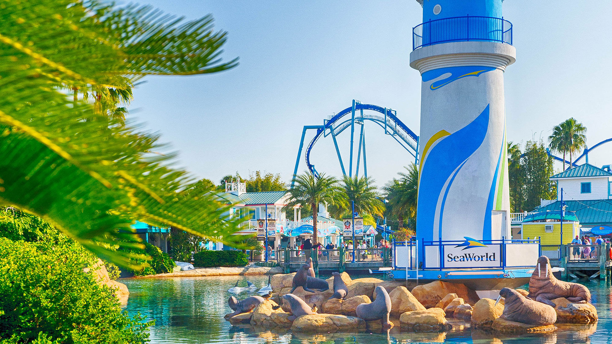 SeaWorld's interim CEO seeks to put guests' minds at ease
