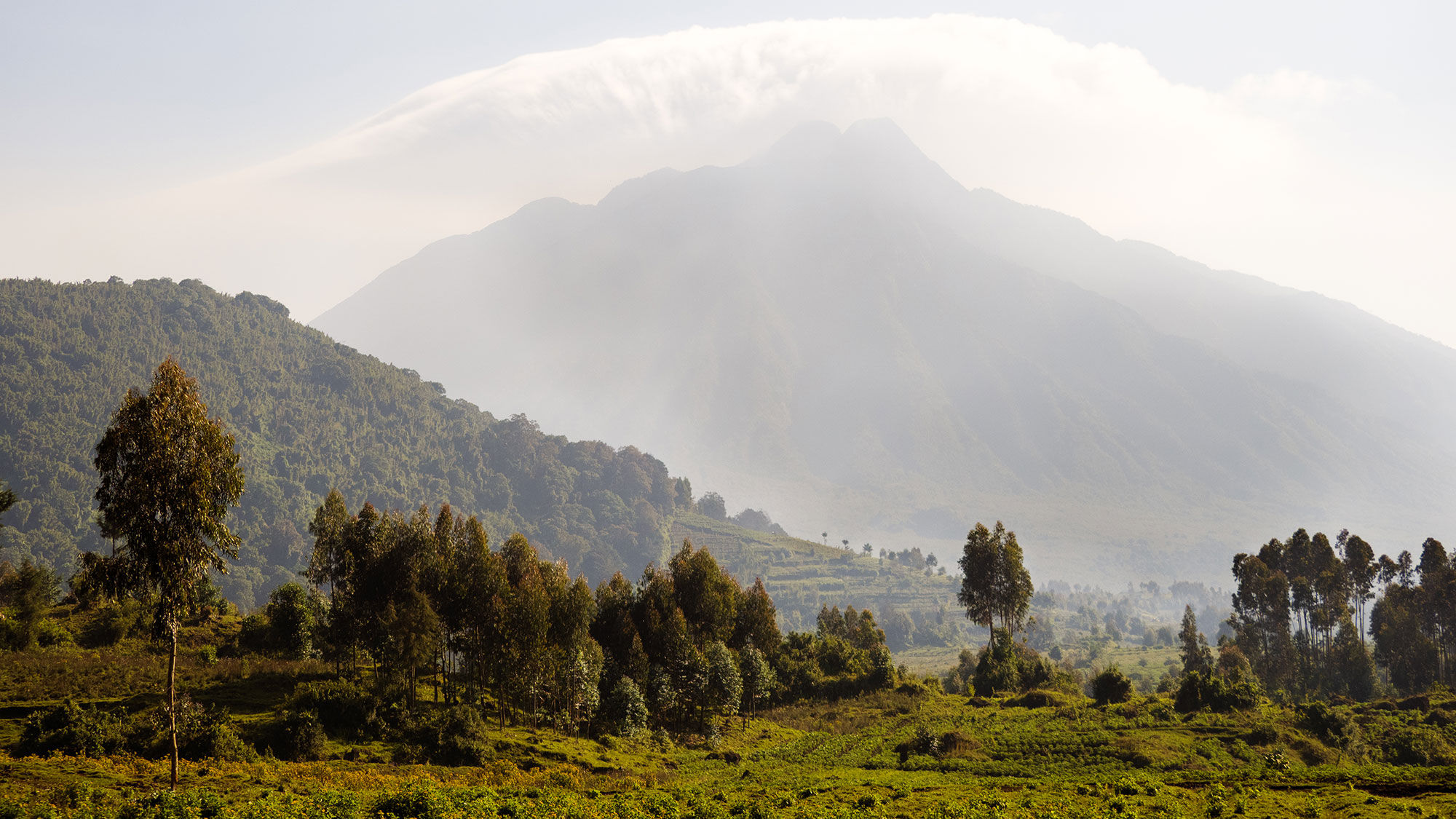 Rwanda commercial flights resuming in August