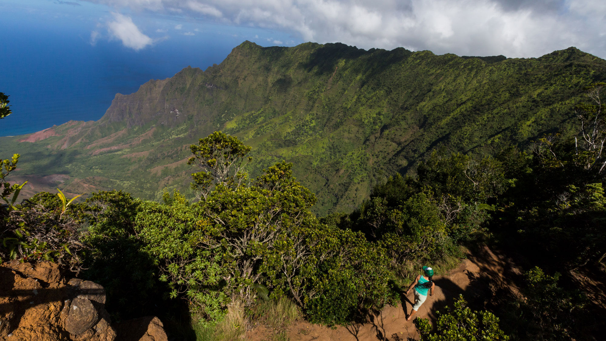 The Pihea Trail in Kokee State Park on Kaui leads to Alakai Swamp, the highest swamp in the world.