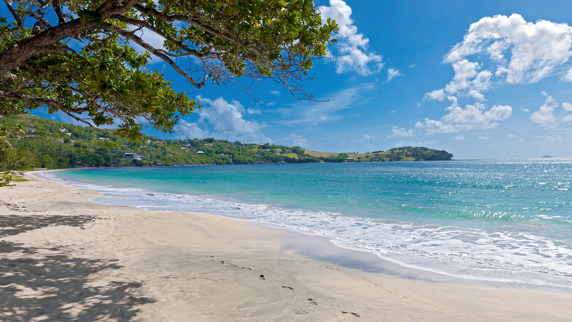 Could this be the backdrop for a winter Zoom call? Kedrick Malone thinks long-term winter stays will be a solution for weary families and Caribbean governments.