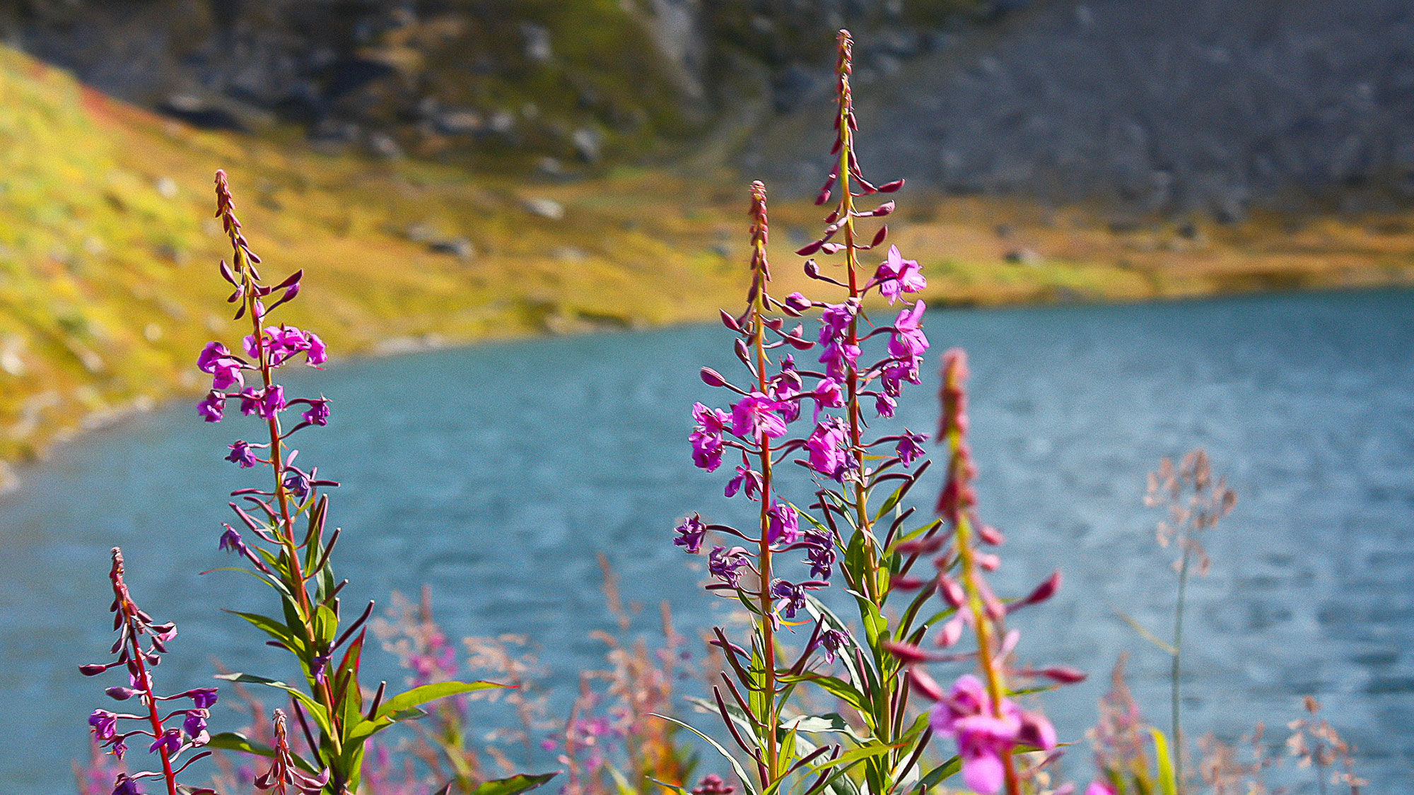 Independence Mine State Historical Park at Hatcher Pass.