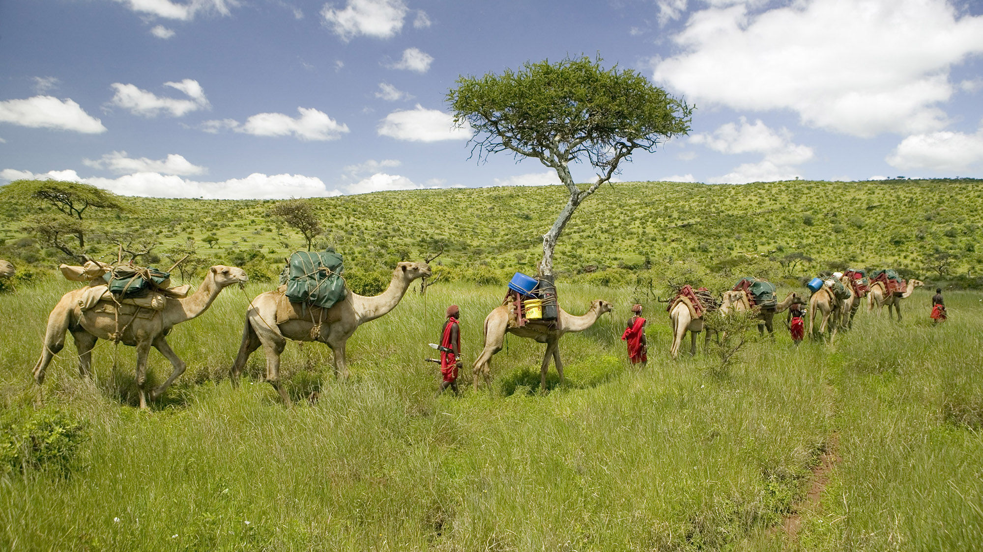 Sabuk Lodge offers a camelback safari through the Laikipian Wilderness in Kenya.