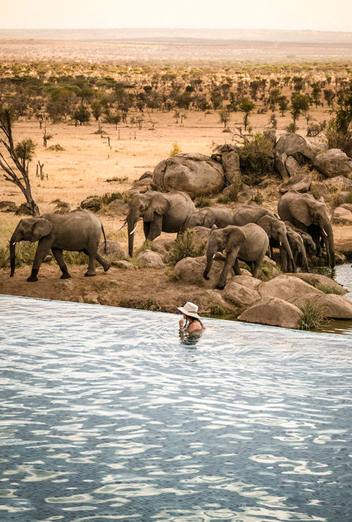 "It's literally like having a private home overlooking the Serengeti," said Justin Stevens of the Four Seasons Safari Lodge. "It's literally like having a private home overlooking the Serengeti," said Justin Stevens of the Four Seasons Safari Lodge.