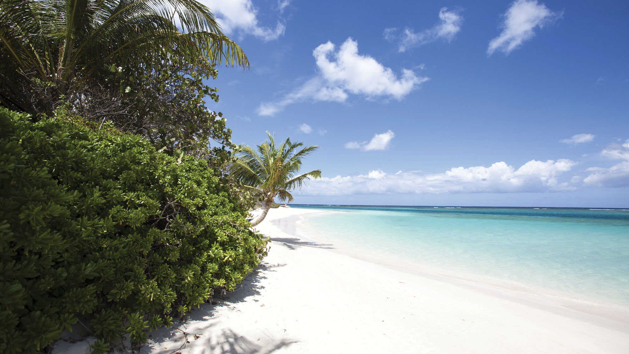 Flamenco Beach on Culebra, Puerto Rico. The island is reopening its beaches this weekend.
