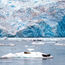 Holland America Line to avoid cruising Tracy Arm Fjord in Alaska