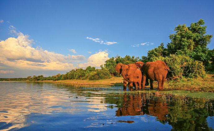 Africa tourism on its way back in 2022: Travel Weekly