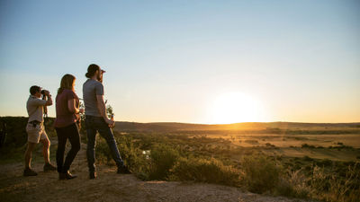 African Travel developed its  Platinum Collection of single-country trips with Covid top of mind. The trips cater to travelers looking for more space and privacy.
