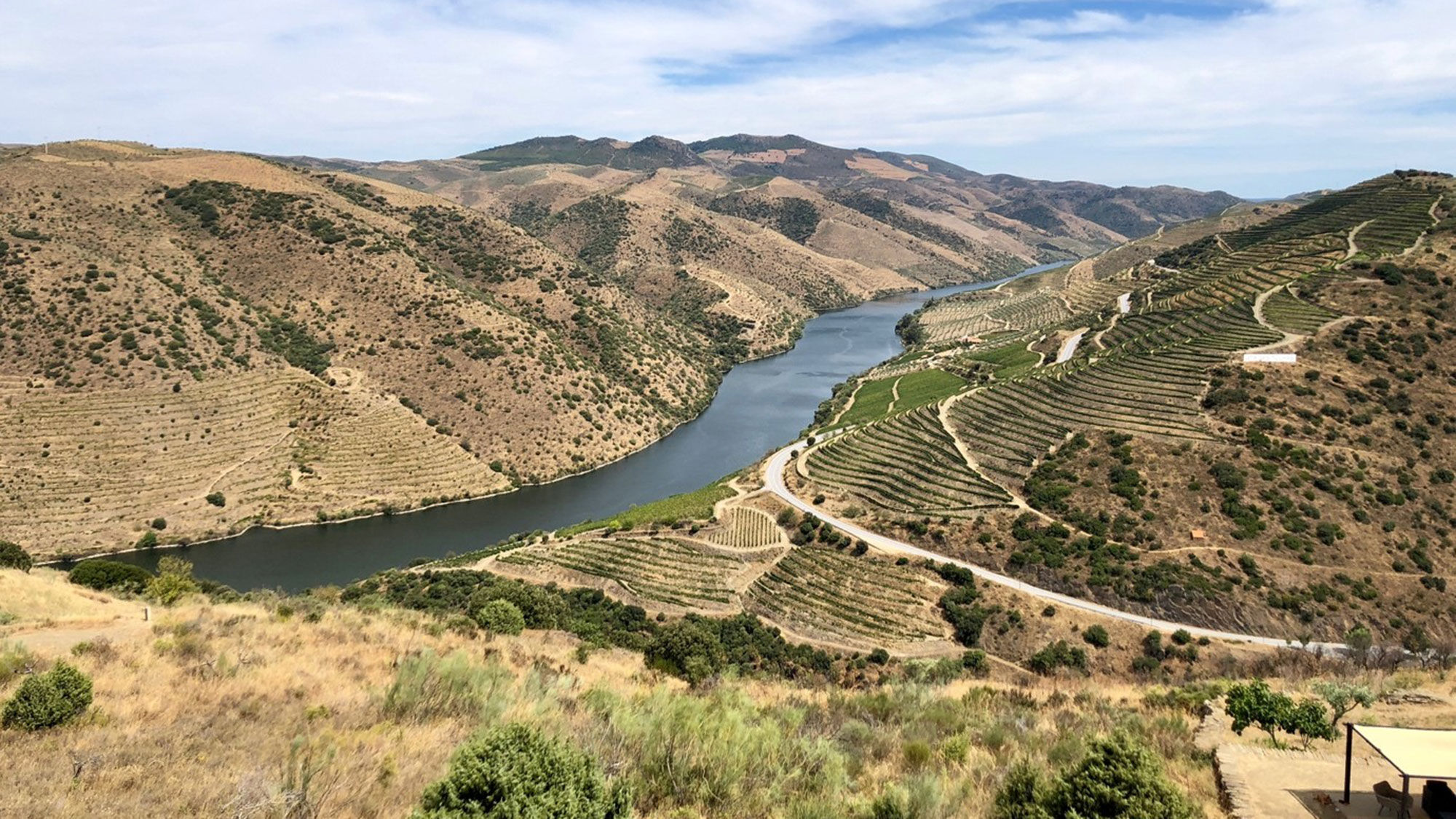 The view of the Douro Valley from the rooftop of Coa Museum.