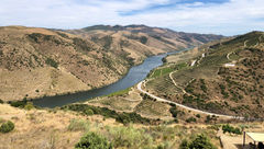 The view of the Douro Valley from the rooftop of Coa Museum.