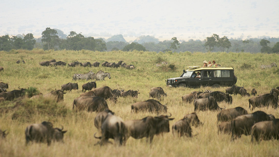 Officials with Abercrombie & Kent say now is a unique opportunity to view Africa's wildlife without encountering other vehicles and tourists.