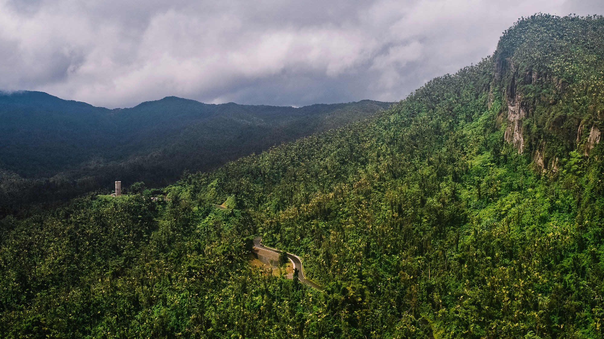 El Yunque in Puerto Rico is the only tropical rainforest that is part of the U.S. National Forest System.