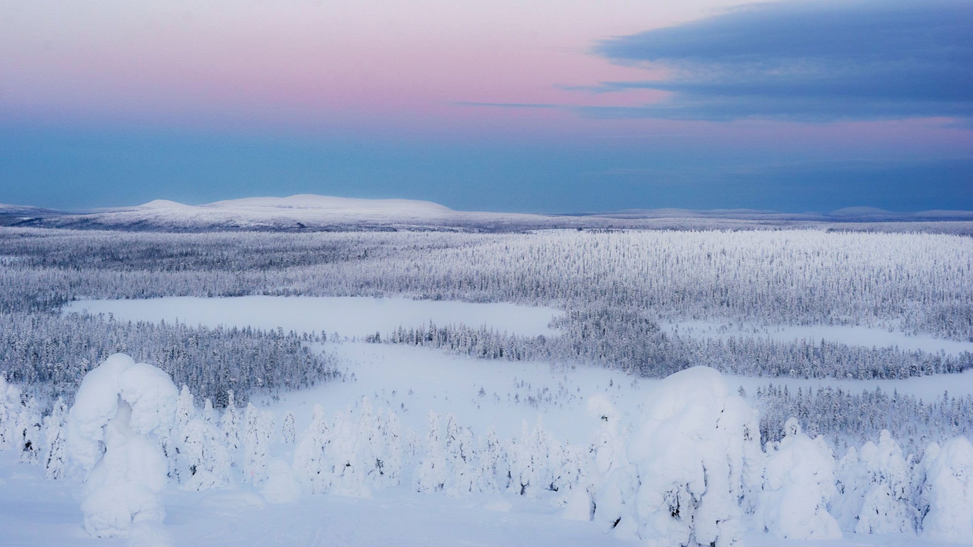 The wintry landscape of the new national park in Salla, Lapland.