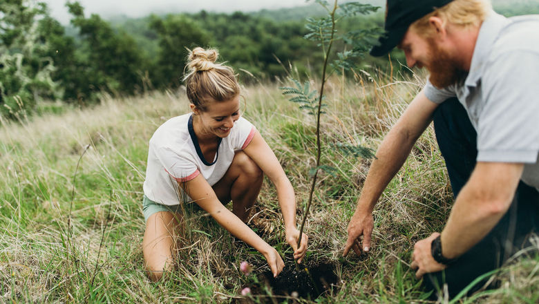 The new Malama Hawaii campaign offers a free night stay or other incentives for Hawaii visitors who participate in qualifying volunteer activities, like planting a native tree at one of the state's reforestation sites