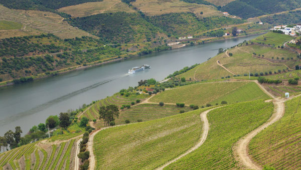 The Viking Helgrim plies the Douro River in Portugal. The Viking Helgrim plies the Douro River in Portugal.