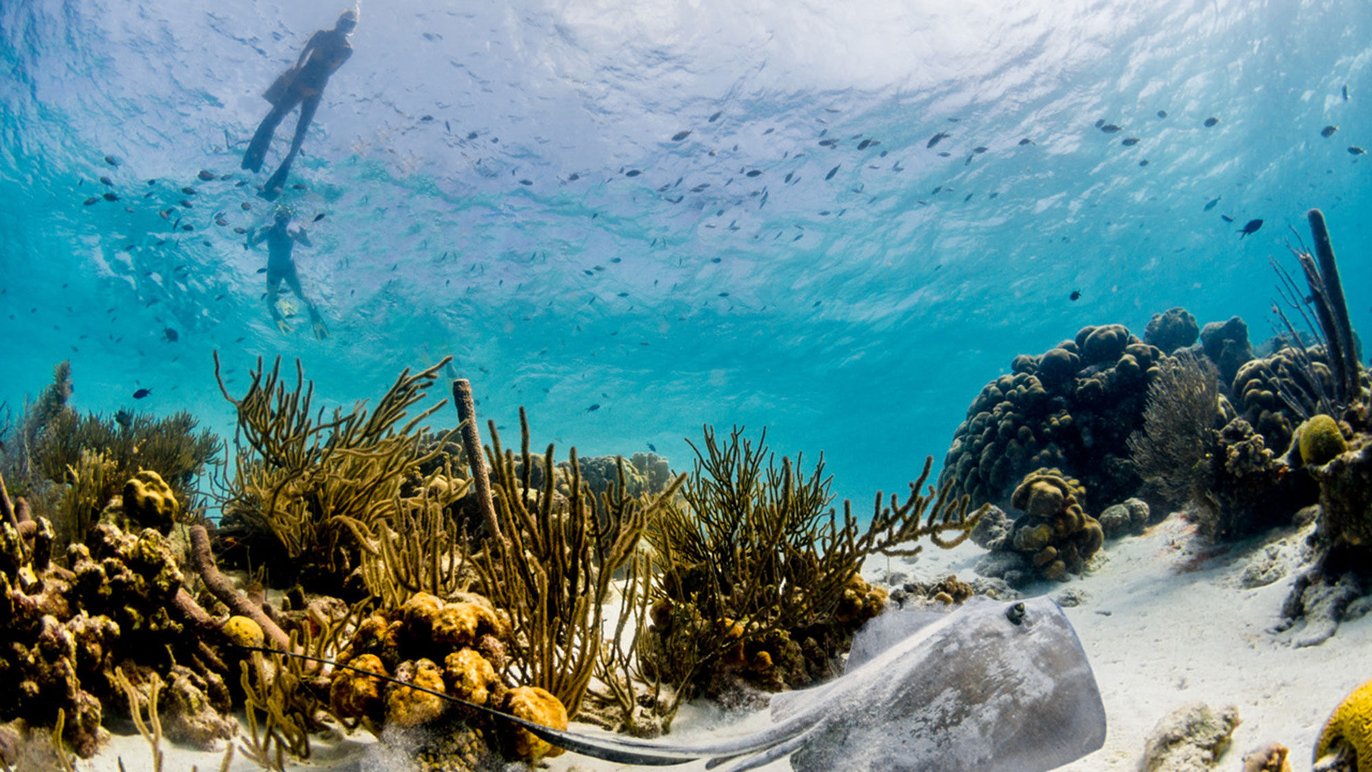 Bonaire opens to U.S. travelers