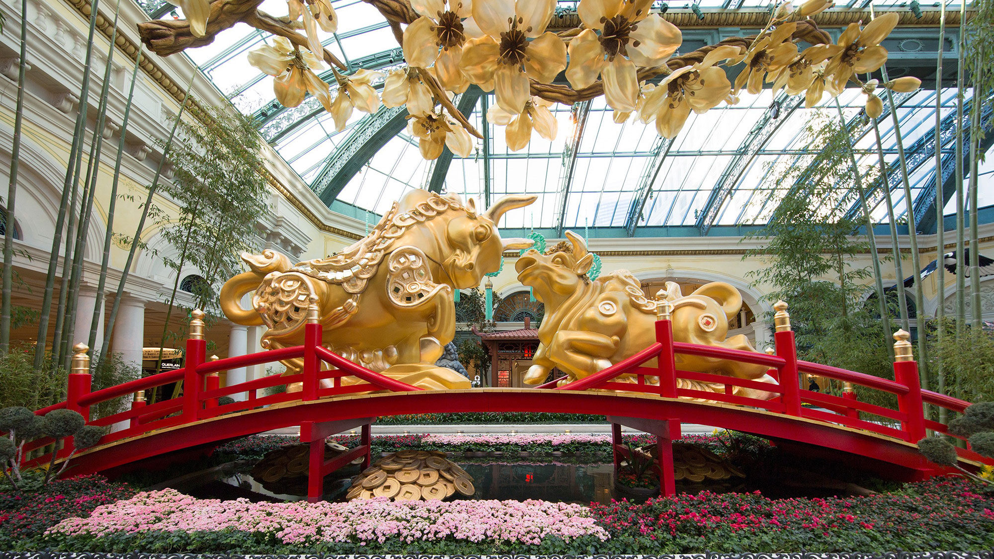 The Bellagio displays two golden oxen and 62,956 plants and flowers for the Lunar New Year.