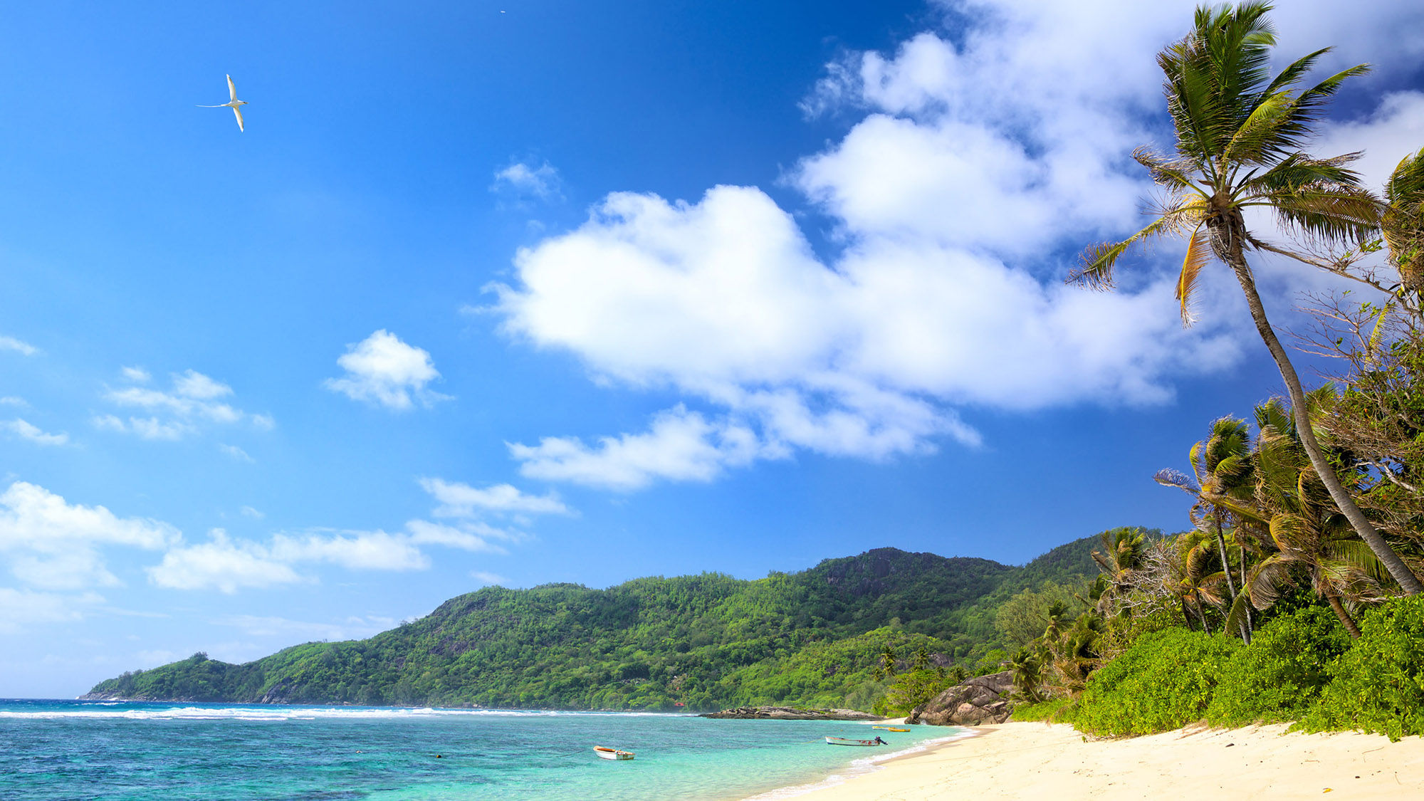 A beach in the Seychelles.