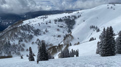 Vast terrain, fresh snow, and few skiers -- the famed back bowls of Vail, Colo.'s largest ski area.