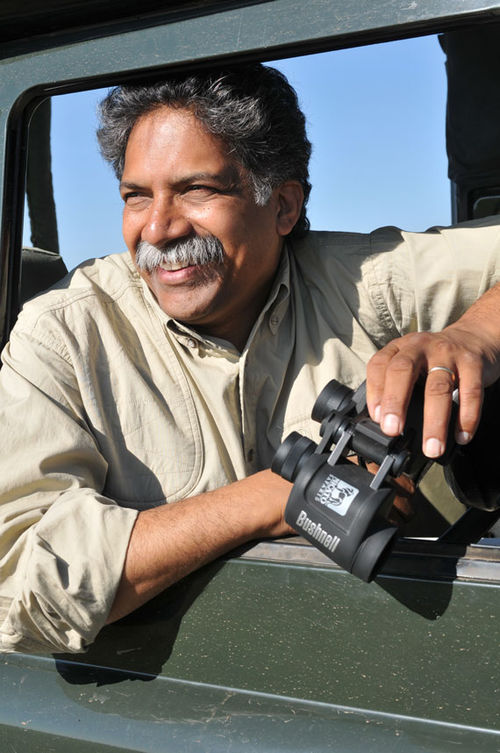 Dennis Pinto Dennis Pinto