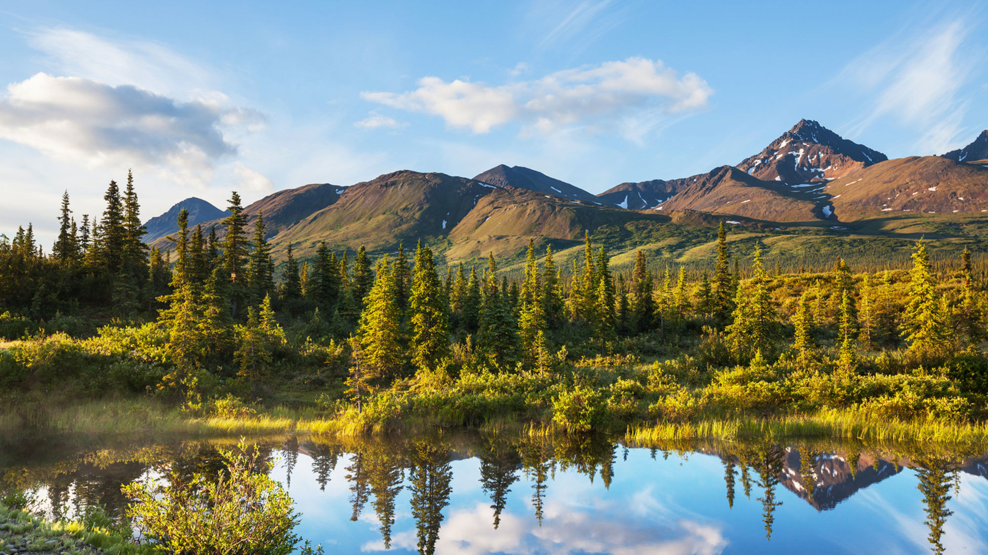 Denali National Park and Preserve.
