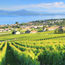 Vaud fills all the wants