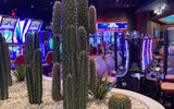 The 60,000-square-foot Mohegan Gaming and Entertainment-operated casino features Saguaro cactus and other desert-inspired decor.