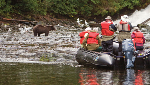 Lindblad Expeditions passengers viewing wildlife by boat on Chichagof Island in Southeast Alaska. Lindblad Expeditions passengers viewing wildlife by boat on Chichagof Island in Southeast Alaska.
