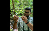 One of Origins' guides, Carlos, shows how to get rubber from a rubber tree.