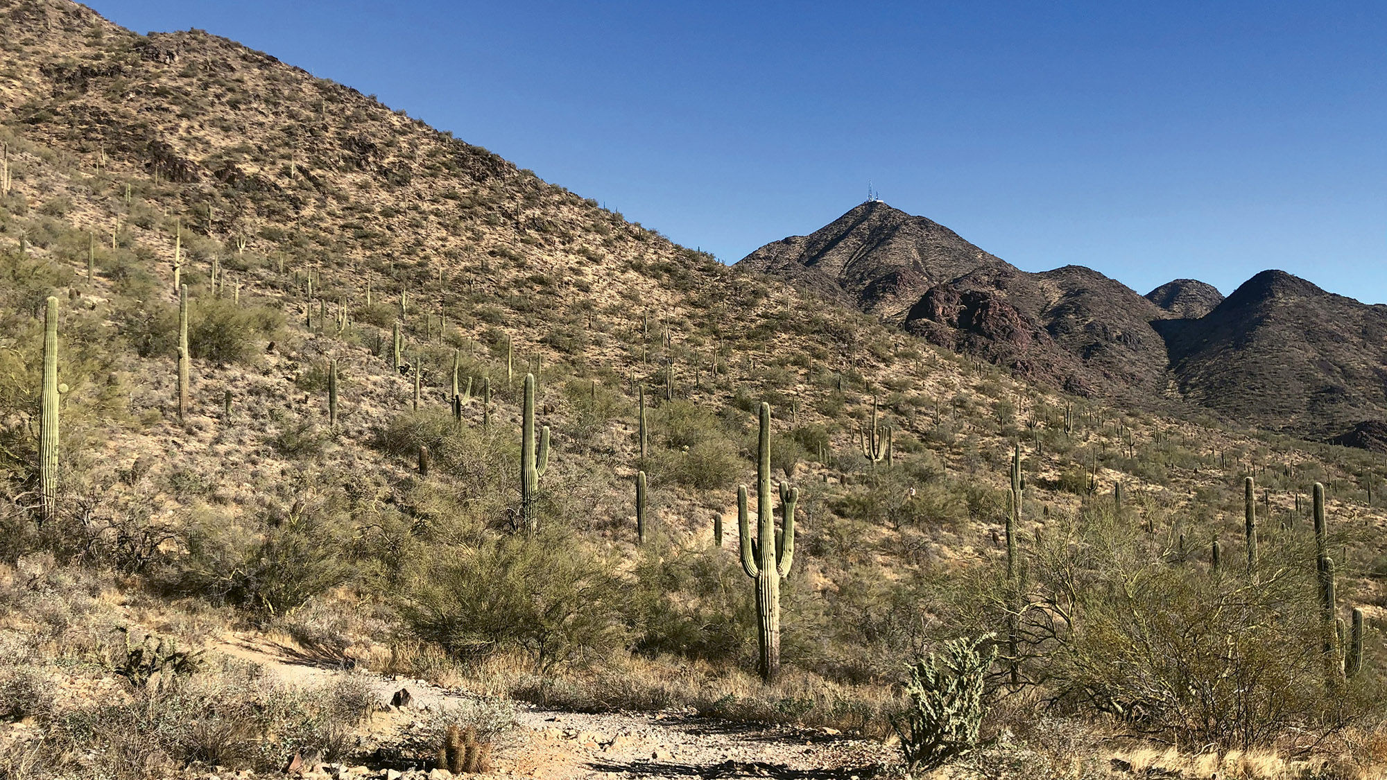 The Gateway trail at the McDowell Sonoran Preserve in Scottsdale.