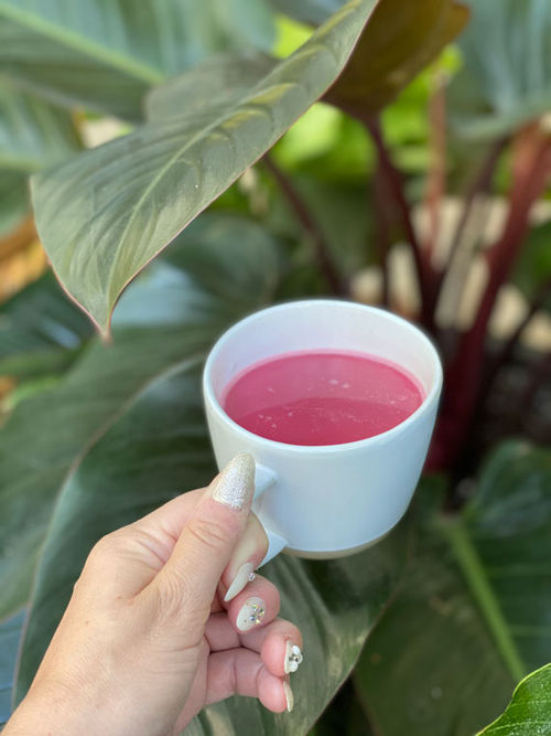 A cup of freshly brewed pink coffee certainly fits the vibe at the new Kayak Hotel Miami Beach. A cup of freshly brewed pink coffee certainly fits the vibe at the new Kayak Hotel Miami Beach.