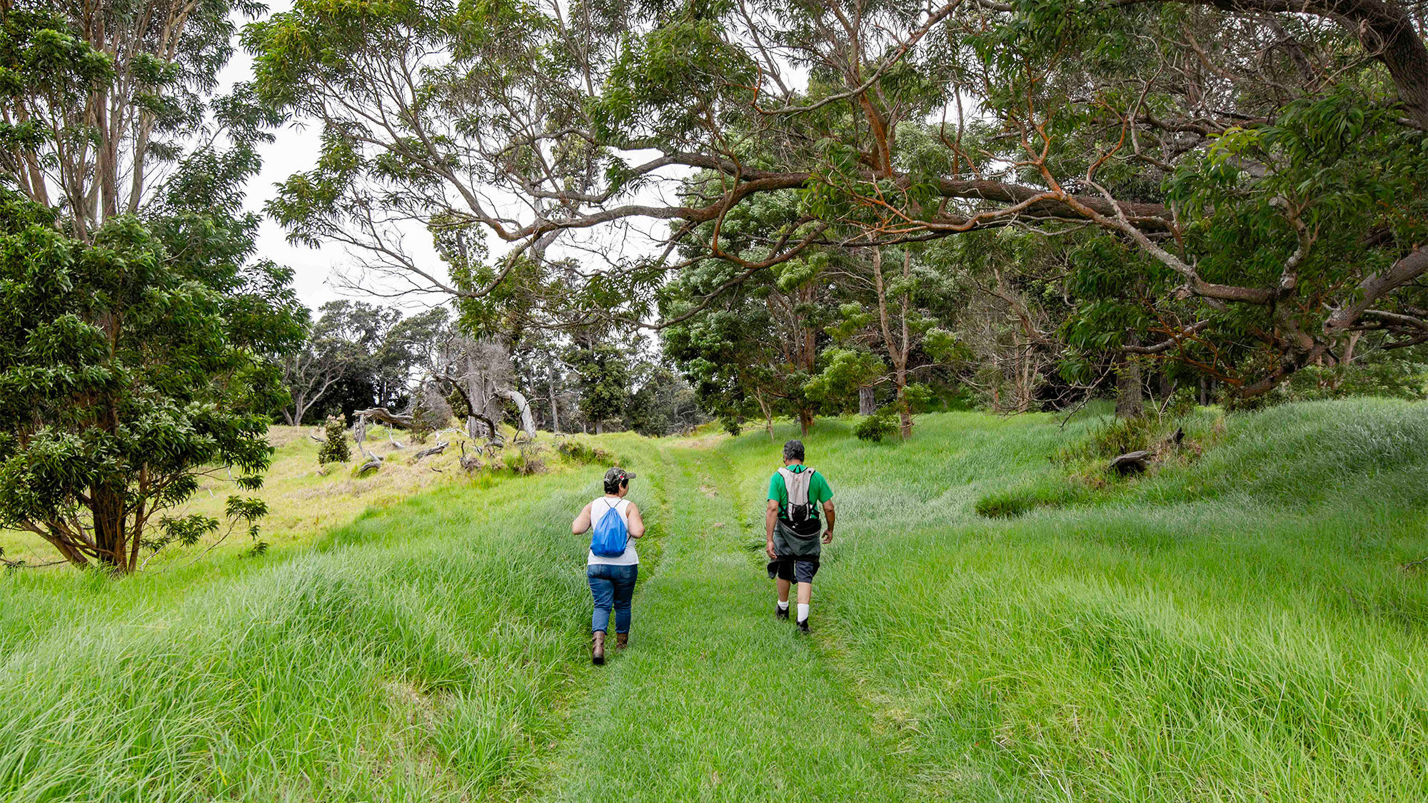 The Glover and Kona trails in the Kahuku Unit of Hawaii Volcanoes National Park reopened on May 13.
