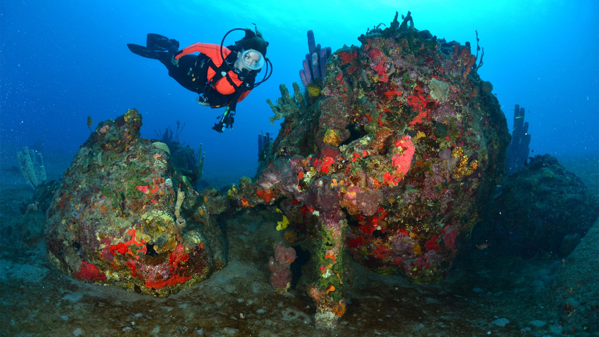 Saba, a small island near St. Maarten, has a variety of dive sites.