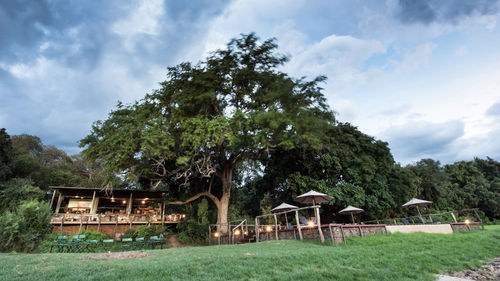 The Shawa Luangwa Camp is situated along the Luangwa River in the heart of the Lupanda Game Management Area. The Shawa Luangwa Camp is situated along the Luangwa River in the heart of the Lupanda Game Management Area.