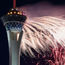 A Vegas Fourth: Fireworks in the sky, stars on stage