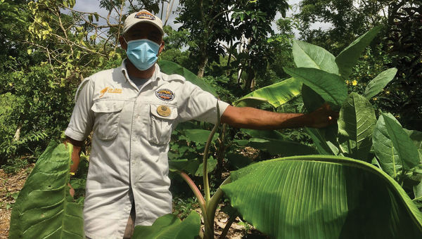 Segundo de la Cruz, a guide in Samana, stands in a tropical rainforest.