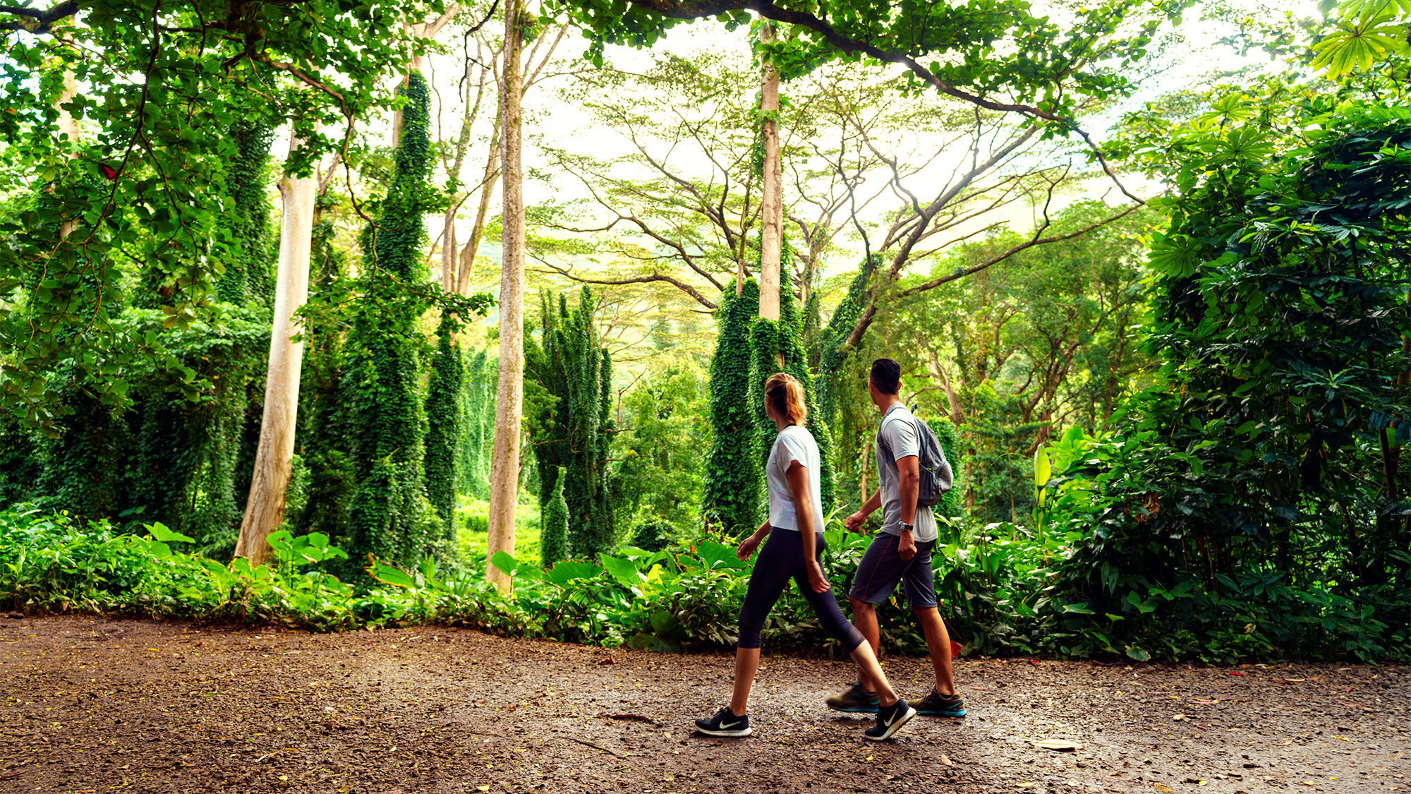 The popular Manoa Falls Trail on Oahu reopened June 5 after being closed for roughly two years for maintenance and repairs.