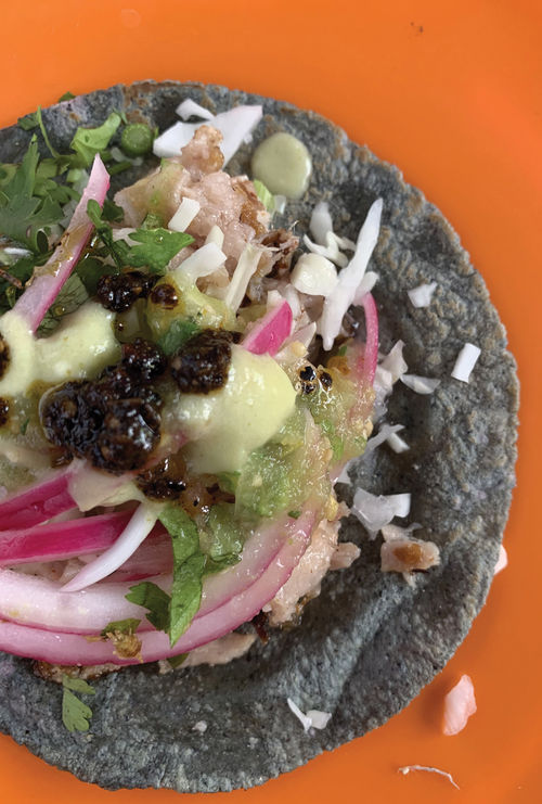A pork belly taco El Puerco de Oro.