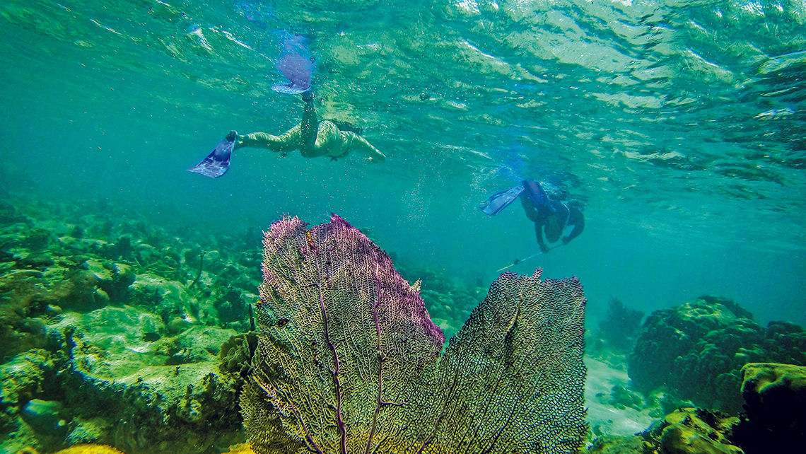 Snorkelers at the barrier reef near Caye Caulker, Belize.
