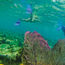 Belize
