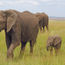 Kenya