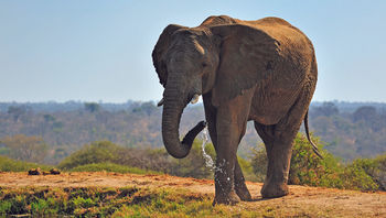 South Africa