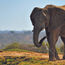 South Africa