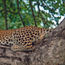Botswana