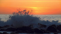 Los Cabos