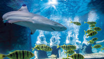 SeaWorld