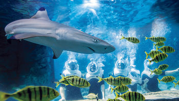 SeaWorld
